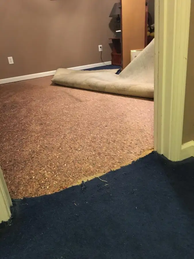 Carpet pad removal revealing water damage during Water Mitigation Services in Hurst