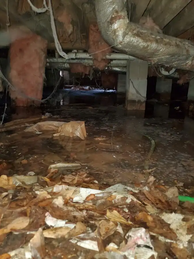 Crawl space flood assessment for Leak Detection & Repair in Hurst