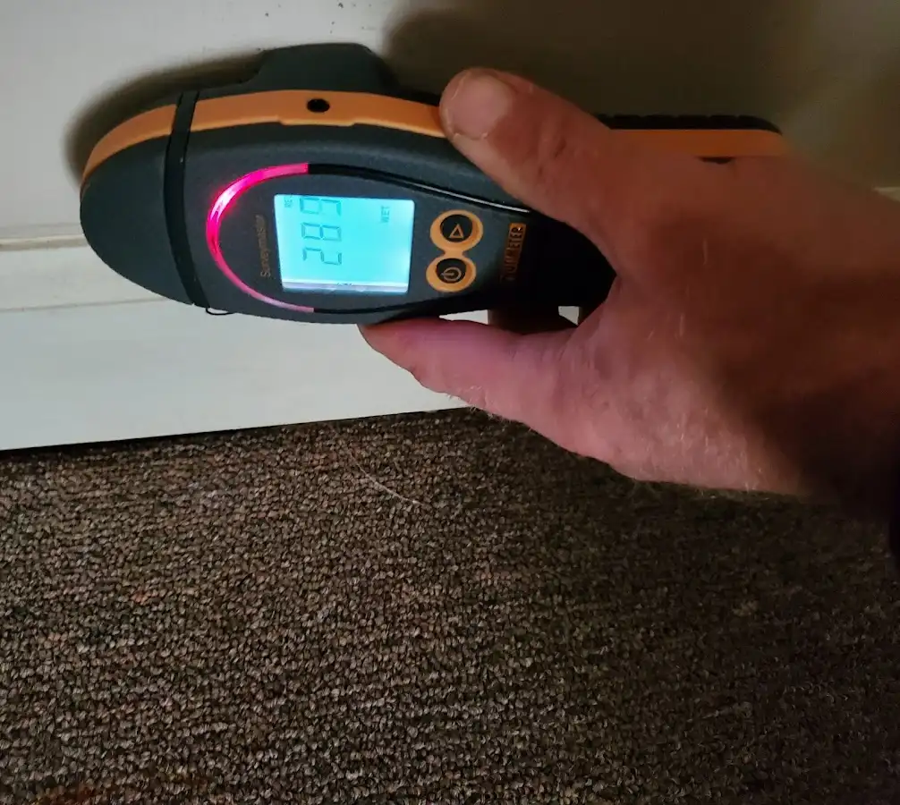 Moisture detection at baseboard during Sewage Cleanup & Sanitation in Hurst